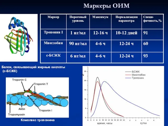 Маркеры ОИМ Белок, связывающий жирные кислоты (с-БСЖК) Комплекс тропонина N