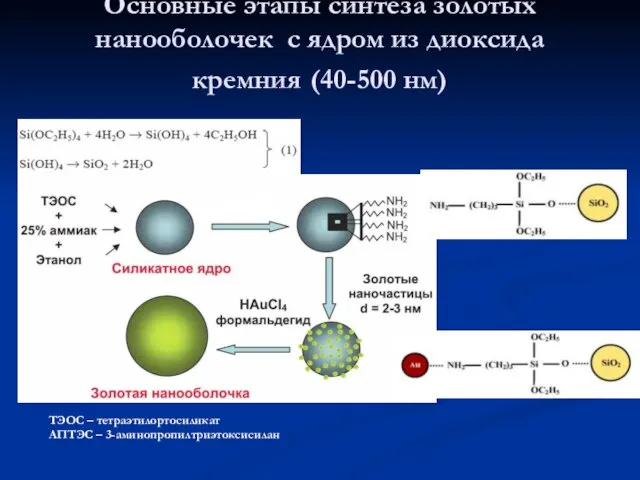 Основные этапы синтеза золотых нанооболочек с ядром из диоксида кремния (40-500 нм)