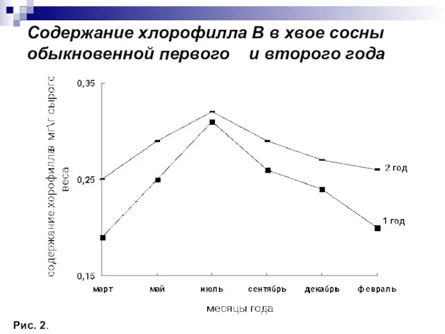 Содержание хлорофилла В в хвое сосны обыкновенной первого и второго года Рис. 2.