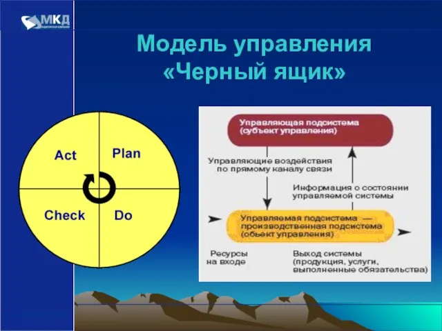 www.mcd-pkf.com Модель управления «Черный ящик»