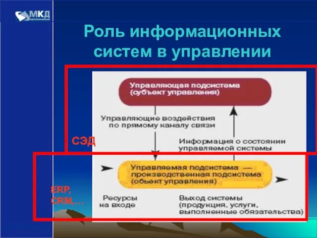 www.mcd-pkf.com Роль информационных систем в управлении ERP, CRM,… СЭД