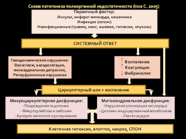 Схема патогенеза полиорганной недостаточности (Ince C. 2005) Первичный фактор: Инсульт, инфаркт миокарда,