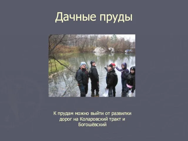 Дачные пруды К прудам можно выйти от развилки дорог на Коларовский тракт и Богошёвский