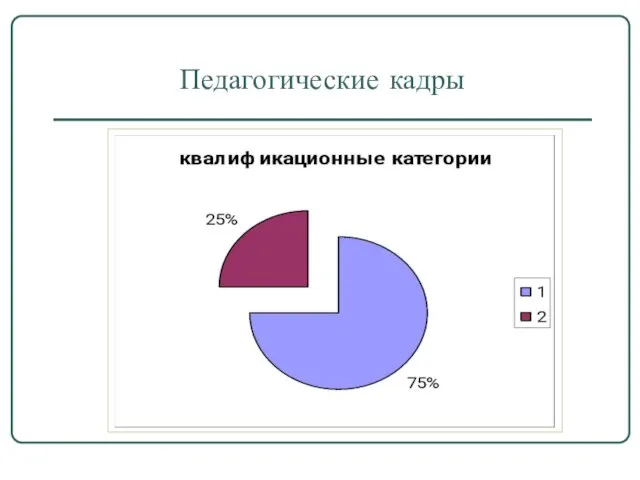 Педагогические кадры