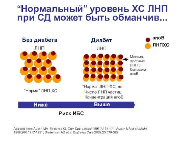 “Нормальный” уровень ХС ЛНП при СД может быть обманчив... Диабет ЛНП “Норма”