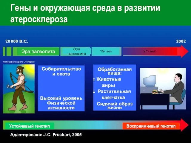 Гены и окружающая среда в развитии атеросклероза Адаптировано: J-C. Fruchart, 2005 Собирательство