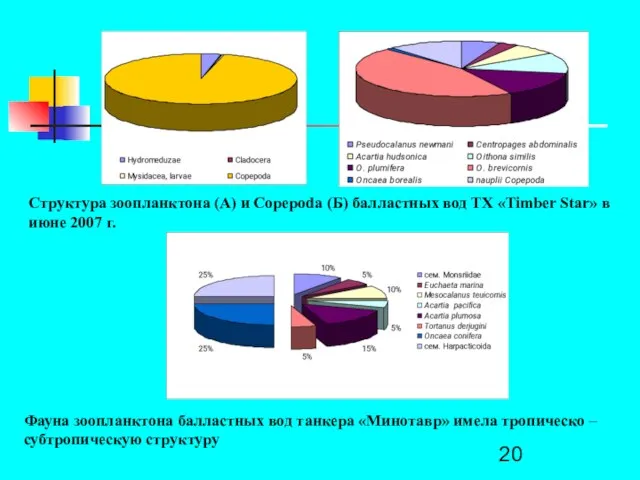 А Б Структура зоопланктона (А) и Copepoda (Б) балластных вод ТХ «Timber