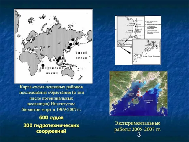 Карта-схема основных районов исследования обрастания (в том числе потенциальных вселенцев) Институтом биологии