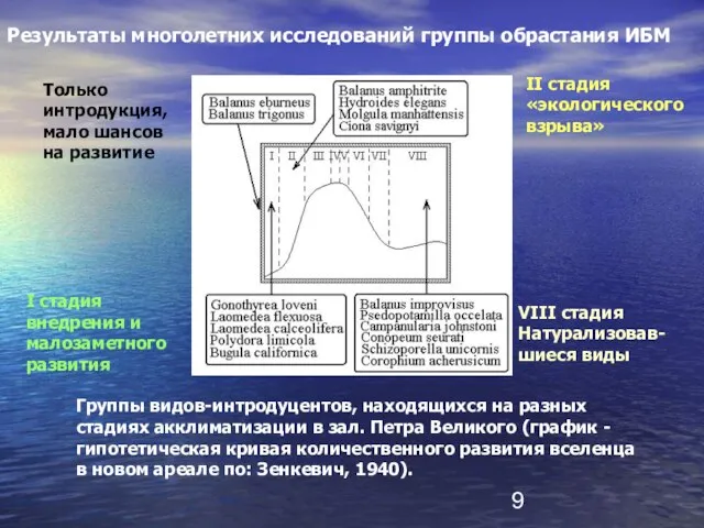 Группы видов-интродуцентов, находящихся на разных стадиях акклиматизации в зал. Петра Великого (график