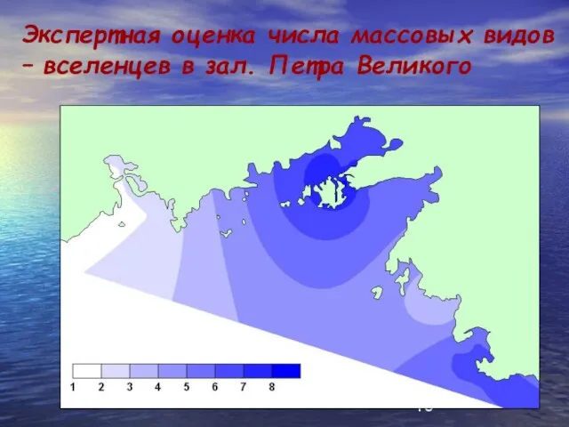 Экспертная оценка числа массовых видов – вселенцев в зал. Петра Великого