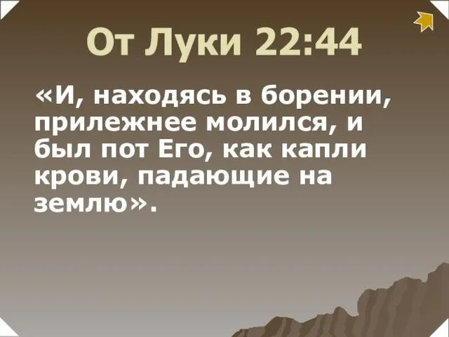 «И, находясь в борении, прилежнее молился, и был пот Его, как капли