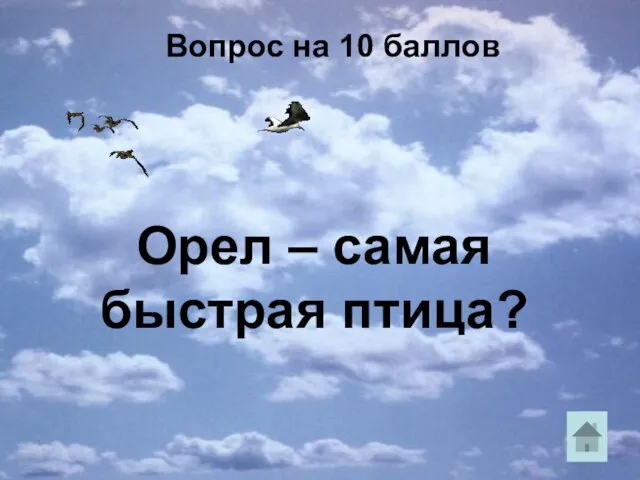 Вопрос на 10 баллов Орел – самая быстрая птица?