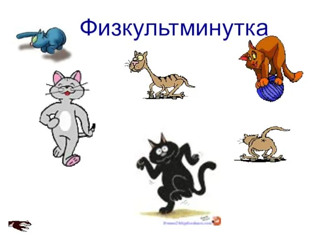 Физкультминутка