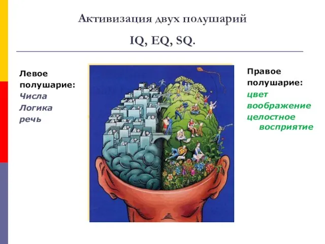 Активизация двух полушарий IQ, EQ, SQ. Левое полушарие: Числа Логика речь Правое