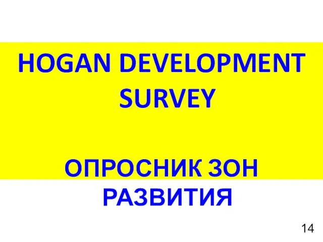 HOGAN DEVELOPMENT SURVEY ОПРОСНИК ЗОН РАЗВИТИЯ