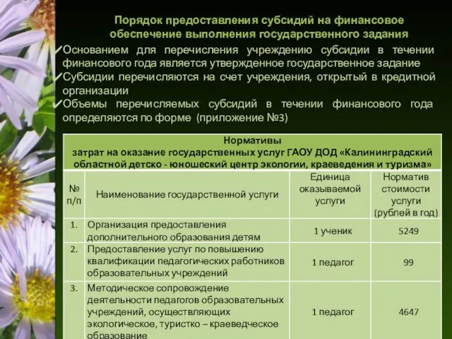 Порядок предоставления субсидий на финансовое обеспечение выполнения государственного задания