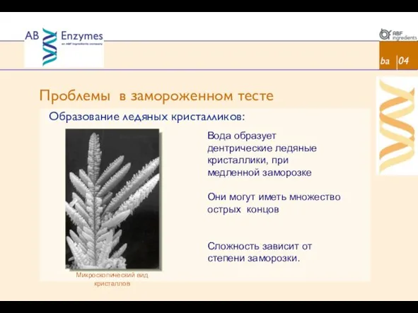 Проблемы в замороженном тесте ba 04 Образование ледяных кристалликов: Вода образует дентрические