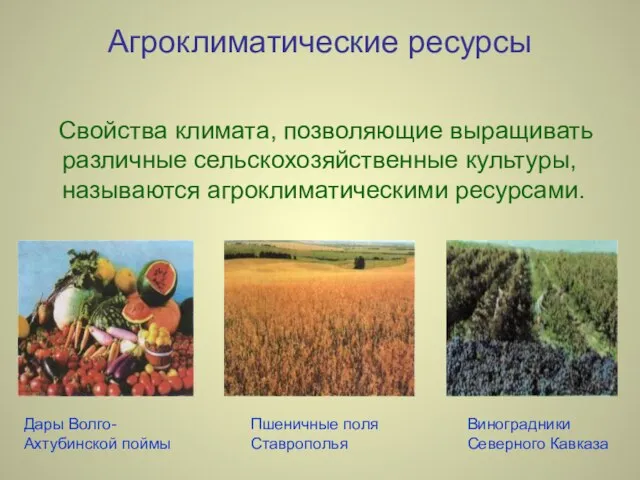 Агроклиматические ресурсы Свойства климата, позволяющие выращивать различные сельскохозяйственные культуры, называются агроклиматическими ресурсами.