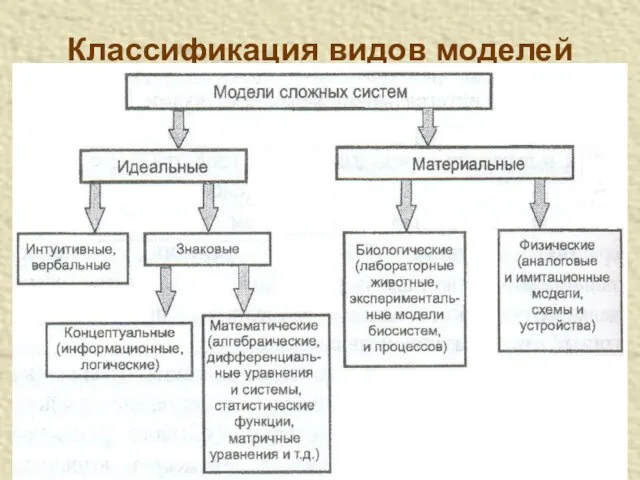 Классификация видов моделей