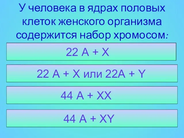 44 А + ХY 44 А + ХХ 22 А + Х