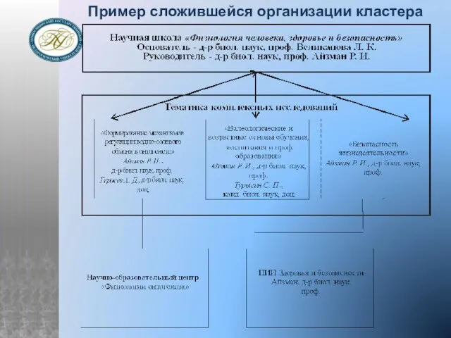 Пример сложившейся организации кластера