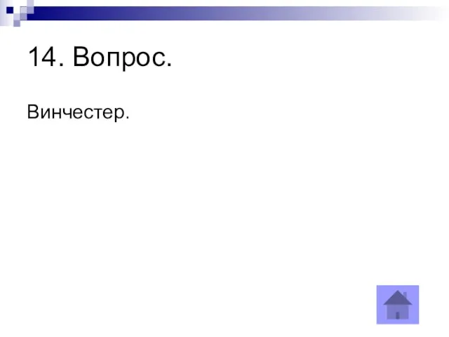 14. Вопрос. Винчестер.