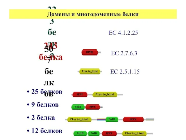 25 белков 9 белков 2 белка 12 белков 223 белка 243 белка