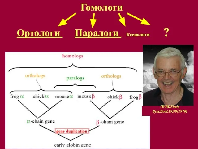 Гомологи Ортологи Паралоги Ксенологи ? (W.M.Fitch, Syst.Zool.19,99(1970)