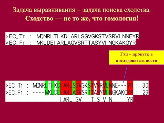 Гэп – пропуск в последовательности Задача выравнивания = задача поиска сходства. Сходство