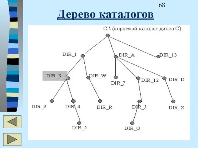 Дерево каталогов