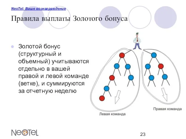 NeoTel: Ваше вознаграждение Правила выплаты Золотого бонуса Золотой бонус (структурный и объемный)