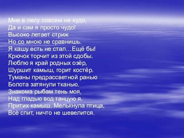 Мне в лесу совсем не худо, Да и сам я просто чудо!