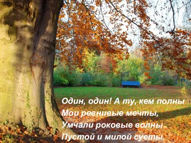 Один, один! А ту, кем полны Мои ревнивые мечты, Умчали роковые волны Пустой и милой суеты.