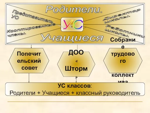 Попечительский совет Родители. Учащиеся УС Кооптированные члены. Представитель УО Директор школы. Работники