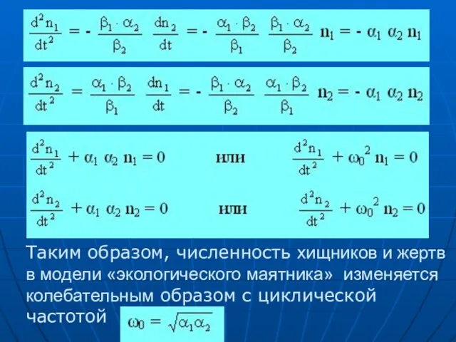 Таким образом, численность хищников и жертв в модели «экологического маятника» изменяется колебательным образом с циклической частотой