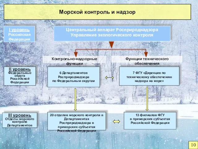 Контрольно-надзорные функции Функции технического обеспечения I уровень Российская Федерация II уровень Федеральные