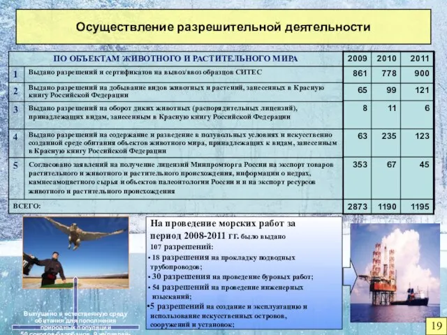 Осуществление разрешительной деятельности Выпущено в естественную среду обитания для пополнения природных популяций