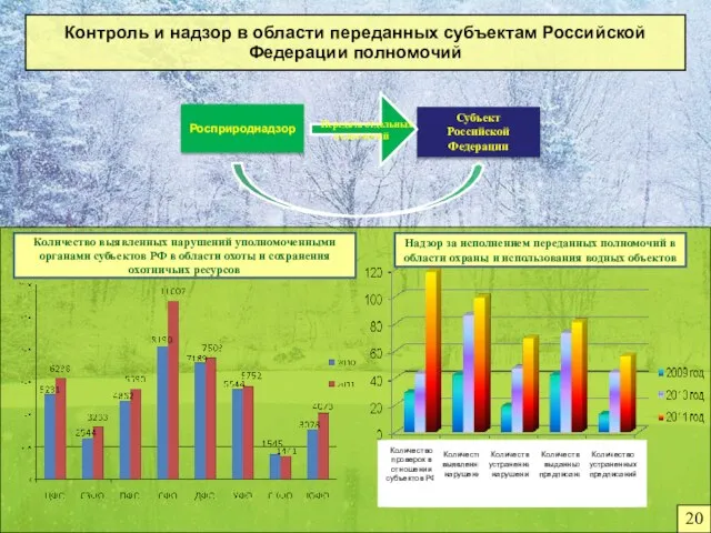 Контроль и надзор в области переданных субъектам Российской Федерации полномочий Надзор за