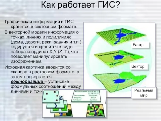 Как работает ГИС? Графическая информация в ГИС хранится в векторном формате. В