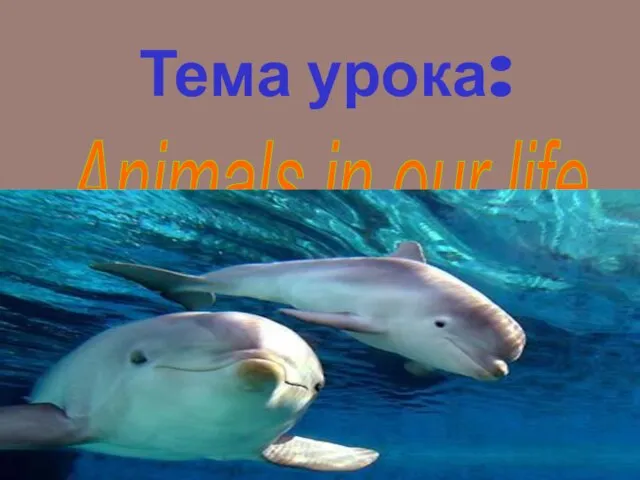 Тема урока: Animals in our life