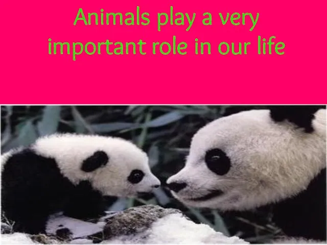 Animals play a very important role in our life