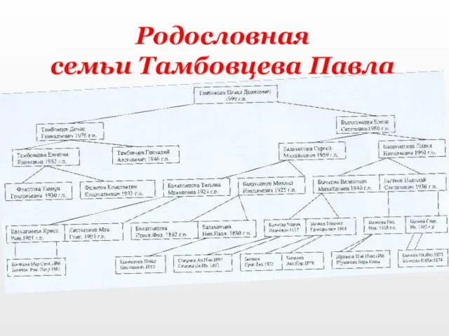 Родословная семьи Тамбовцева Павла