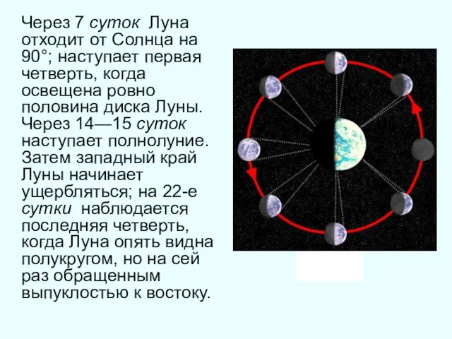 Через 7 суток Луна отходит от Солнца на 90°; наступает первая четверть,