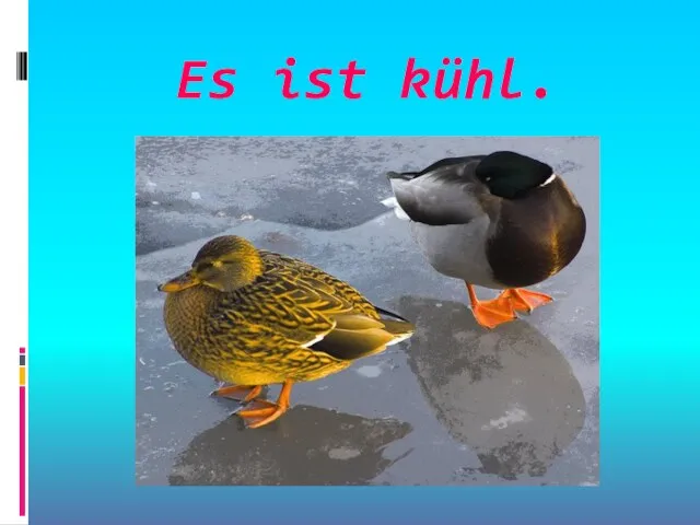 Es ist kühl.