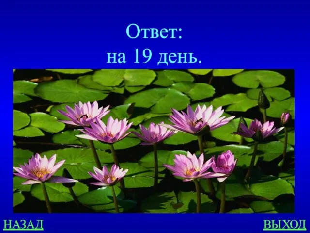 НАЗАД ВЫХОД Ответ: на 19 день.