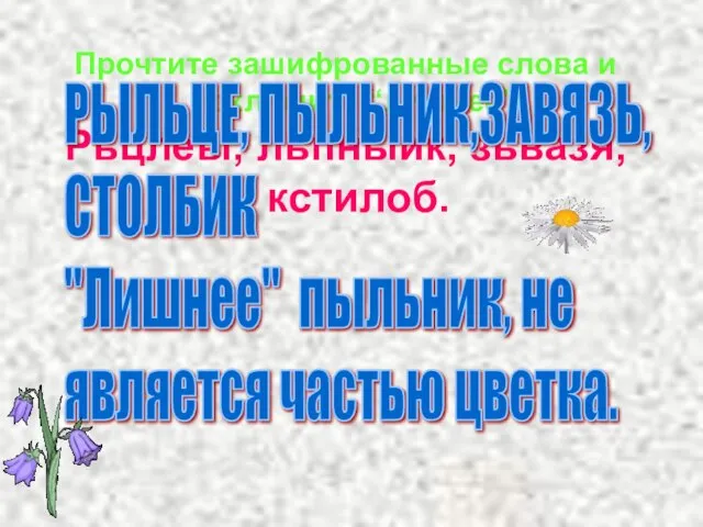 Прочтите зашифрованные слова и исключите “лишнее”. Рьцлеы, льпныик, зьвазя, кстилоб. РЫЛЬЦЕ, ПЫЛЬНИК,ЗАВЯЗЬ,