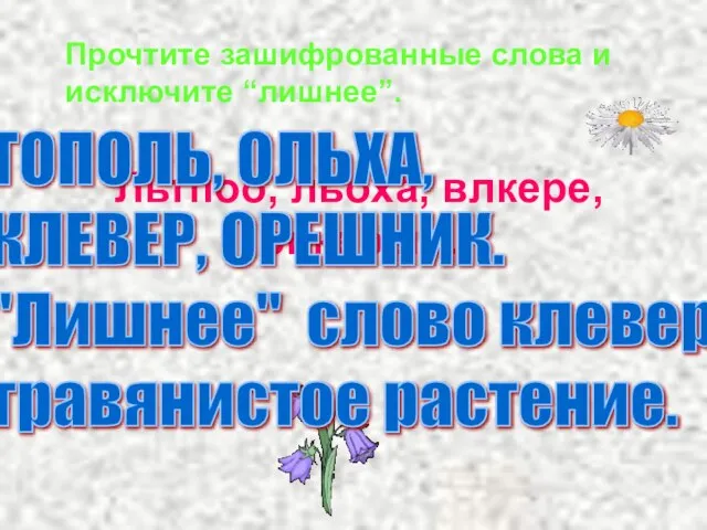 Льтпоо, льоха, влкере, рикеошн. Прочтите зашифрованные слова и исключите “лишнее”. ТОПОЛЬ, ОЛЬХА,