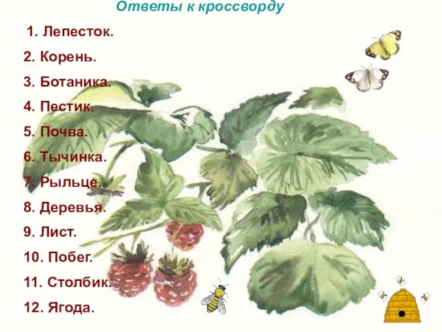 Ответы к кроссворду 1. Лепесток. 2. Корень. 3. Ботаника. 4. Пестик. 5.