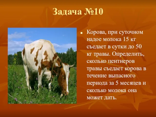 Задача №10 Корова, при суточном надое молока 15 кг съедает в сутки