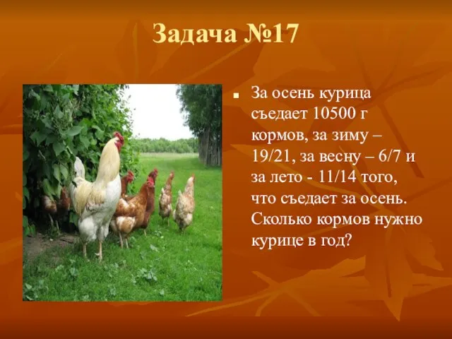 Задача №17 За осень курица съедает 10500 г кормов, за зиму –